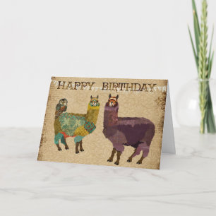 Alpacas & Teal Owl Birthday  Card