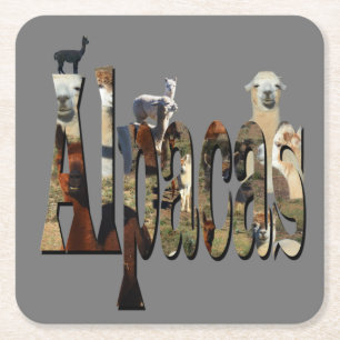 Alpacas With Alpaca Picture Logo, Coaster