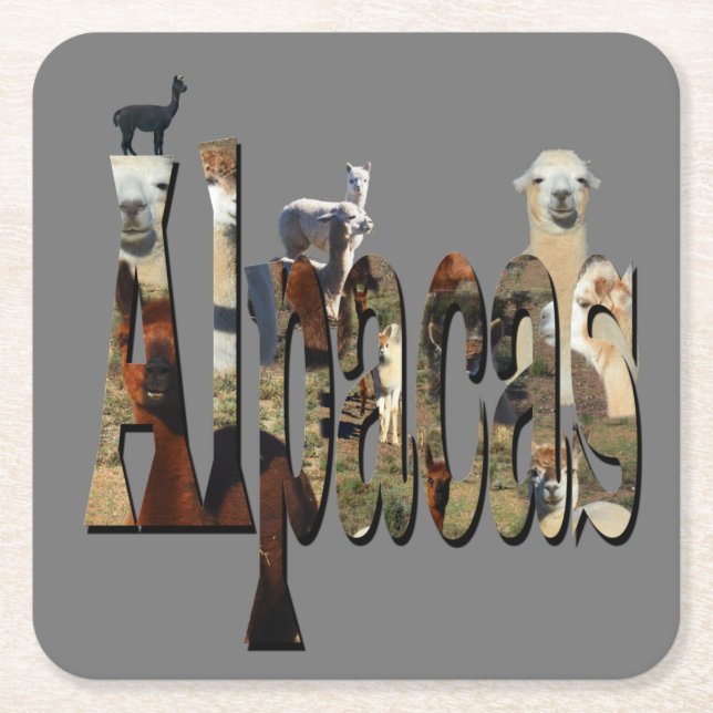 Alpacas With Alpaca Picture Logo, Coaster (Front)