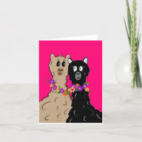 Alpaca's with flower necklace