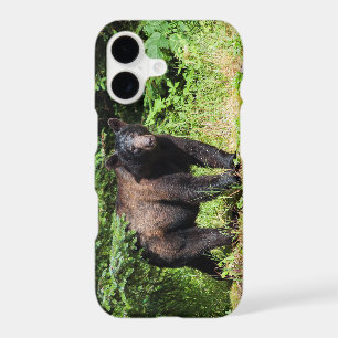 Alpha Black Bear