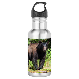 Alpha Black Bear 532 Ml Water Bottle