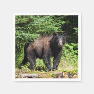 Alpha Black Bear Napkin
