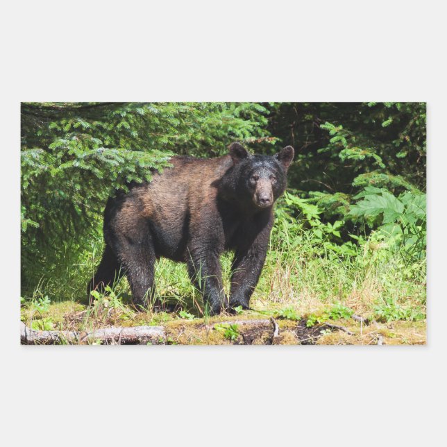 Alpha Black Bear Rectangular Sticker (Front)