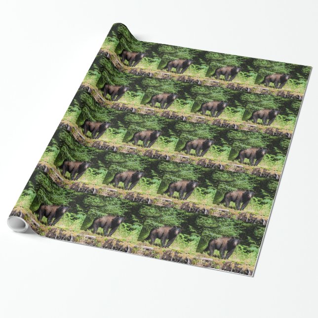Alpha Black Bear Wrapping Paper (Unrolled)