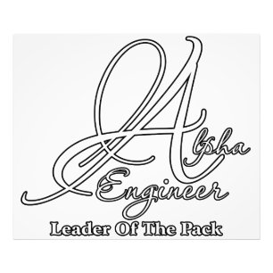 Alpha Engineer Photo Print