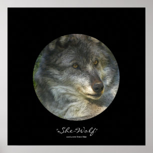 Alpha Female Grey Wolf Wildlife-Support Poster