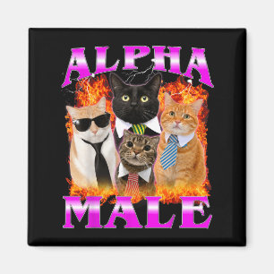 Alpha Male Funny Kitten for Men Women Magnet