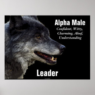 Alpha Male Grey Wolf Motivational Poster