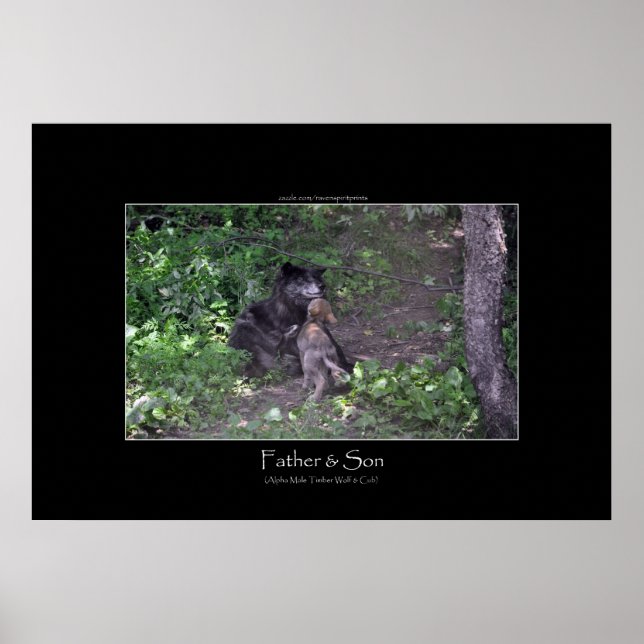 Alpha Male Grey Wolf & Pup Photo Print (Front)
