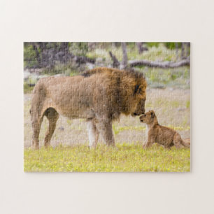 Alpha male lion inspects cub jigsaw puzzle
