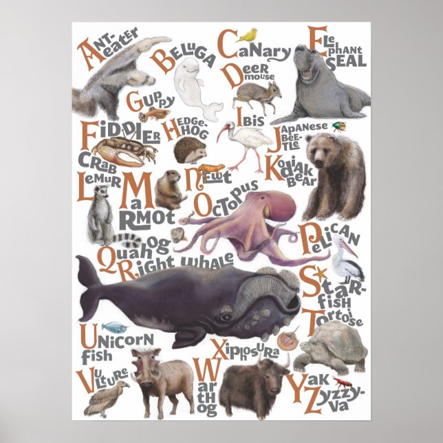 Alphabet Animals Poster (Front)