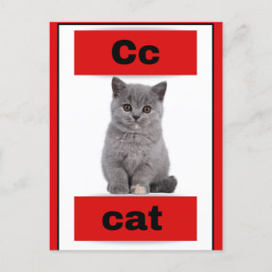 alphabet card(with real picture)Holiday Postcard