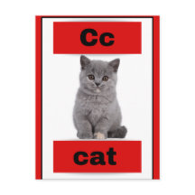 alphabet card(with real picture)Holiday Postcard