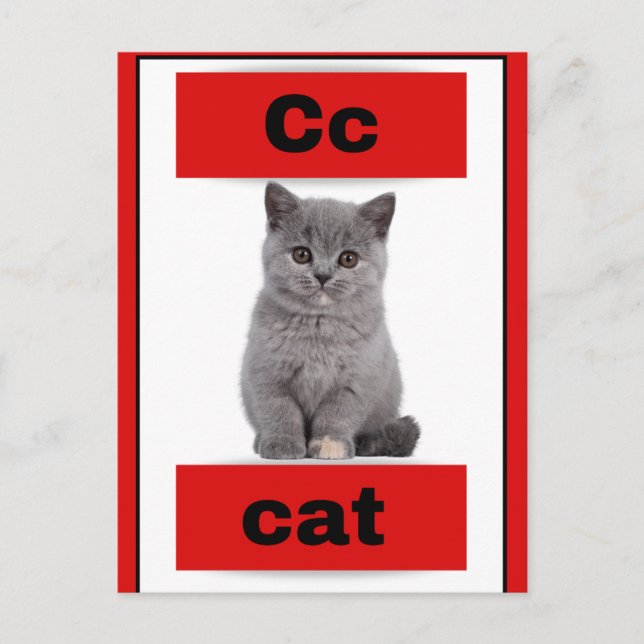 alphabet card(with real picture)Holiday Postcard (Front)