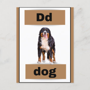 alphabet card(with real picture)Holiday Postcard