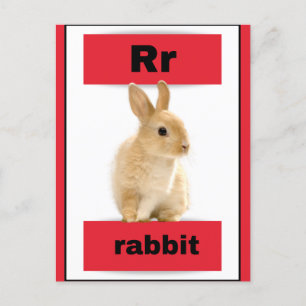 alphabet card(with real picture) holiday postcard