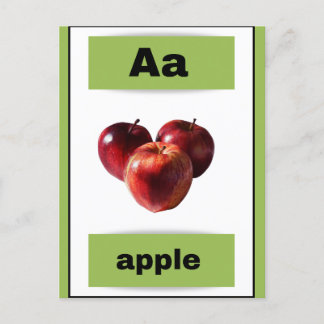 alphabet flash card(with real picture) holiday pos