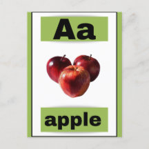 alphabet flash card(with real picture)