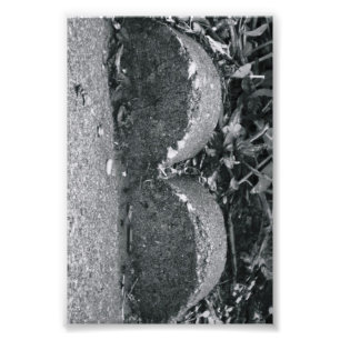 Alphabet Letter Photography B3 Black and White 4x6 Photo Print