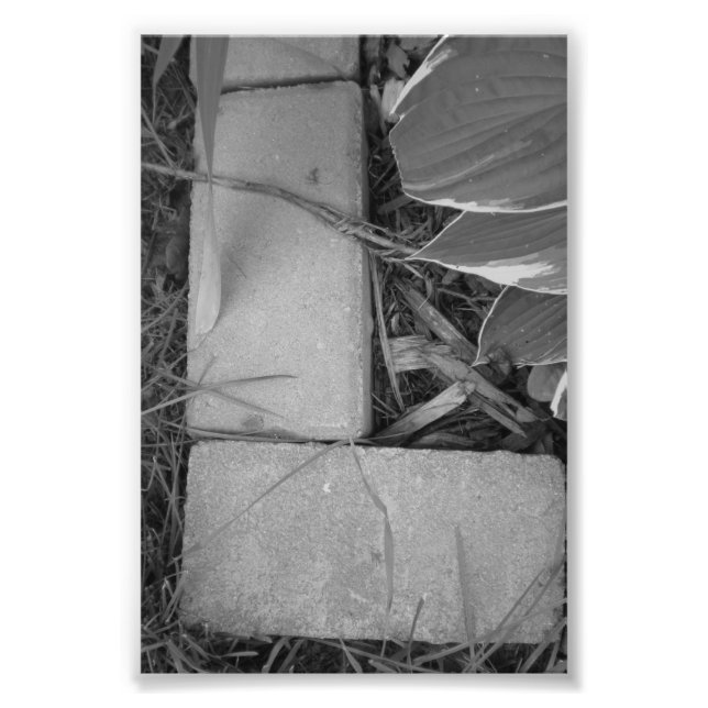 Alphabet Letter Photography L5 Black and White 4x6 Photo Print (Front)