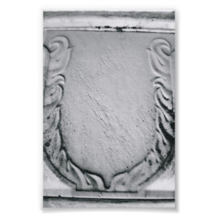 Alphabet Letter Photography U1 Black and White 4x6 Photo Print