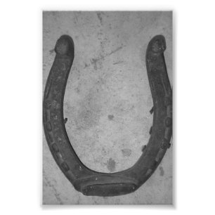 Alphabet Letter Photography U4 Black and White 4x6 Photo Print