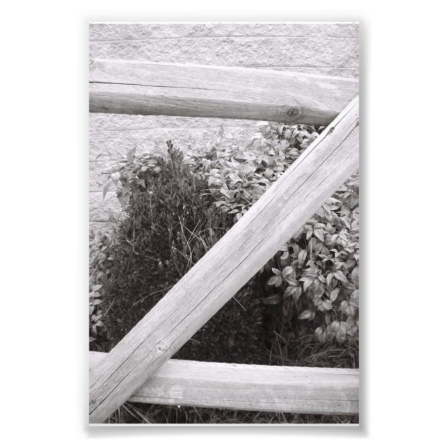 Alphabet Letter Photography Z2 Black and White 4x6 Photo Print (Front)