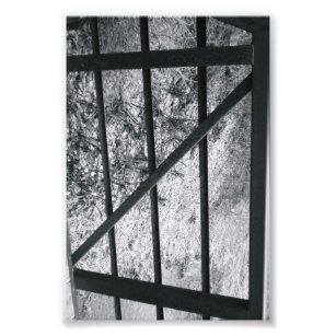 Alphabet Letter Photography Z4 Black and White 4x6 Photo Print