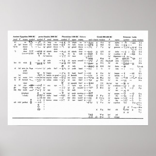 Alphabet Progression Throughout History Chart (Front)