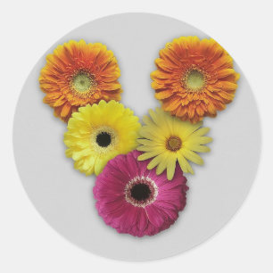 Alphabet V in Flowers Classic Round Sticker