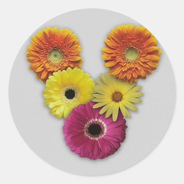 Alphabet V in Flowers Classic Round Sticker (Front)