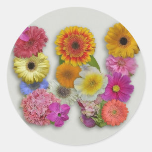 Alphabet W in Flowers Classic Round Sticker