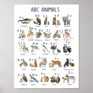 Alphabets animals back to school day poster