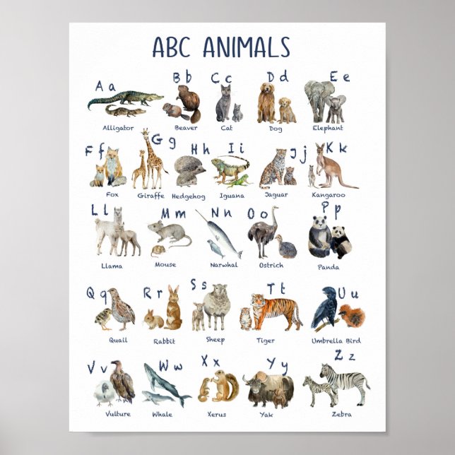 Alphabets animals back to school day poster (Front)
