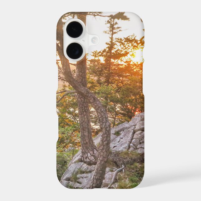 Alpine Autumn (Back)