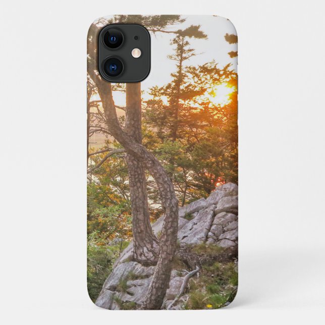 Alpine Autumn Case-Mate iPhone Case (Back)