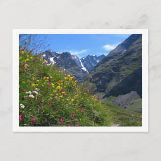 Alpine Beauty Postcard