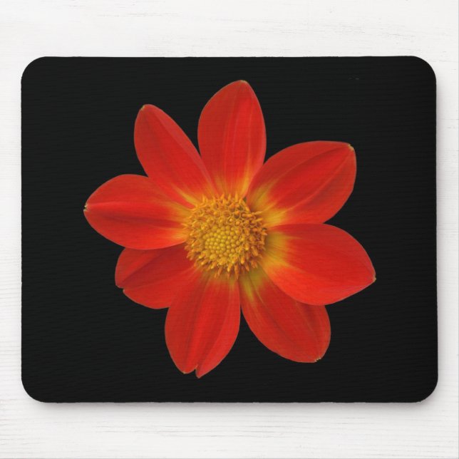 Alpine Cherub (Dahlia) Mouse Pad (Front)