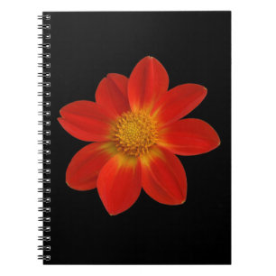 Alpine Cherub (Dahlia) Notebook