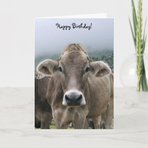 Alpine cow birthday card
