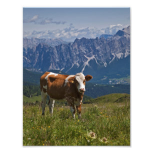 Alpine Cow Print