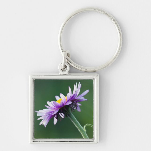 Alpine Daisy Key Ring (Front)