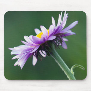 Alpine Daisy Mouse Pad