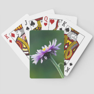 Alpine Daisy Playing Cards