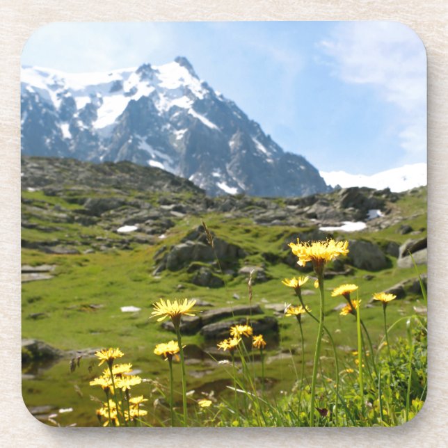 Alpine flowers - Beautiful! Coaster (Front)