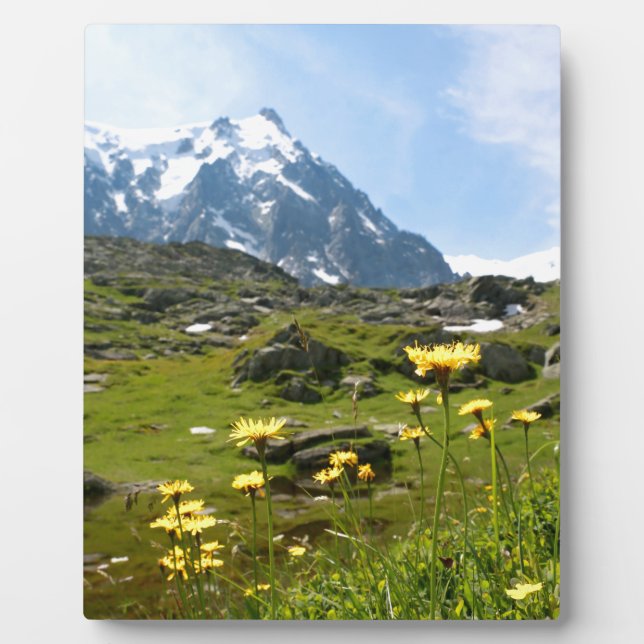 Alpine flowers - Beautiful! Plaque (Front)