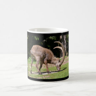 Alpine ibex grazing coffee mug