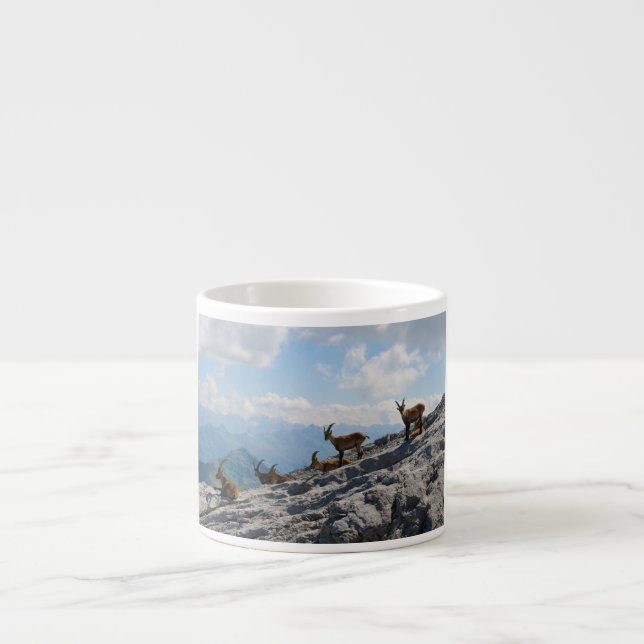 Alpine Ibex Wild Mountain Goats Espresso Cup (Front)