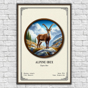 Alpine Ibex Zoology Series Poster